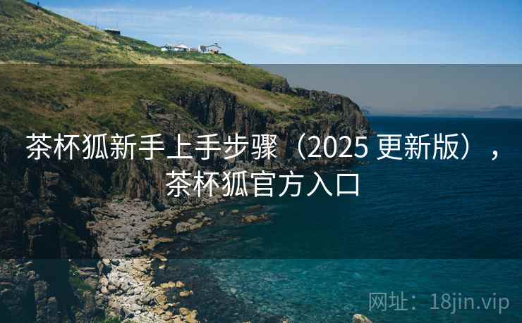 茶杯狐新手上手步骤（2025 更新版），茶杯狐官方入口