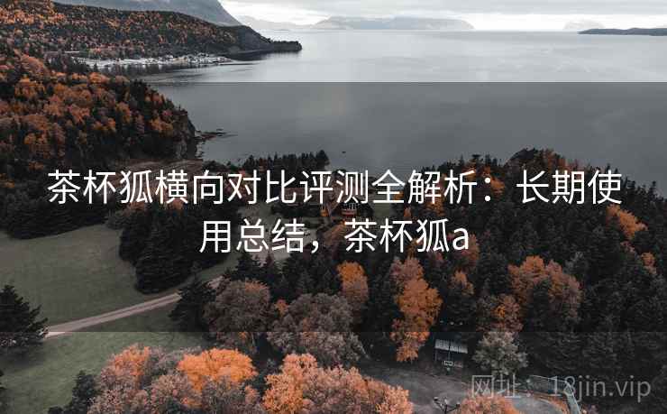 茶杯狐横向对比评测全解析：长期使用总结，茶杯狐a