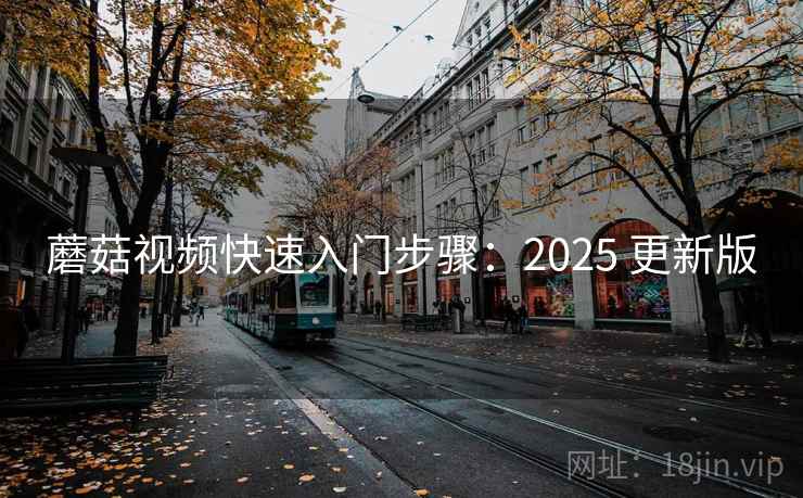 蘑菇视频快速入门步骤：2025 更新版