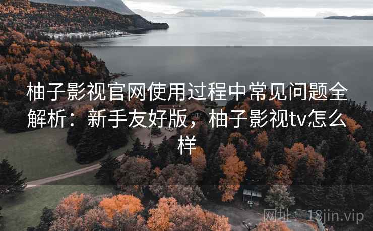 柚子影视官网使用过程中常见问题全解析：新手友好版，柚子影视tv怎么样